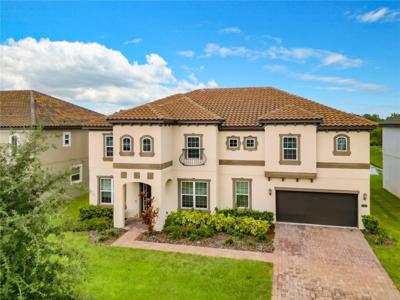 1541 JUNIPER HAMMOCK