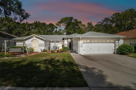 24219 PAINTER DRIVE