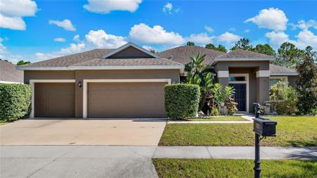 111 BLACKSTONE CREEK
