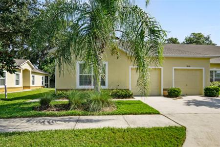 4036 SHADE TREE