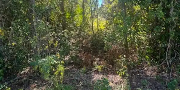 1864 MAUREEN DRIVE