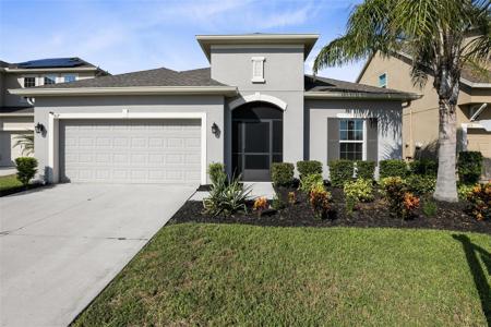 517 BLUE CYPRESS