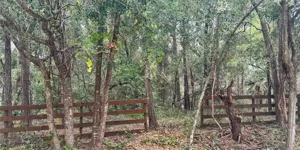 0000 WOODLAND