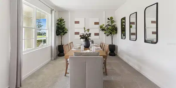 Image 4 Image 4