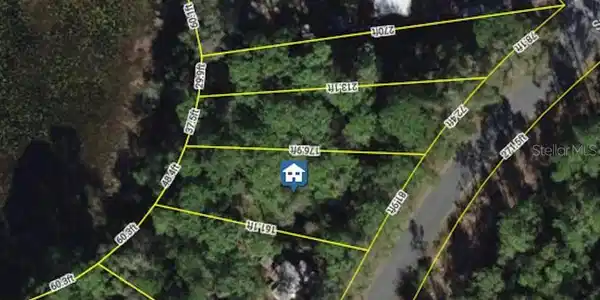 Image 4 Image 4