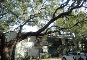 2350 CYPRESS POND