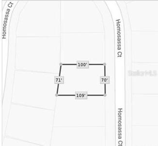 1312 HOMOSASSA COURT