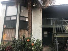 2526 LEMON TREE