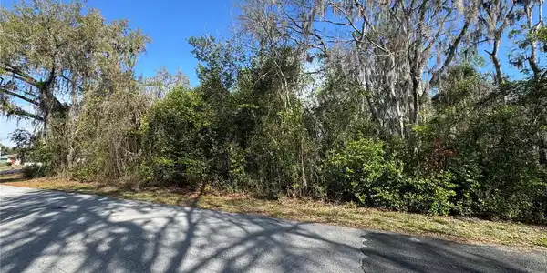 Image 4 Image 4