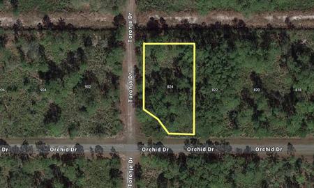824 ORCHID DRIVE