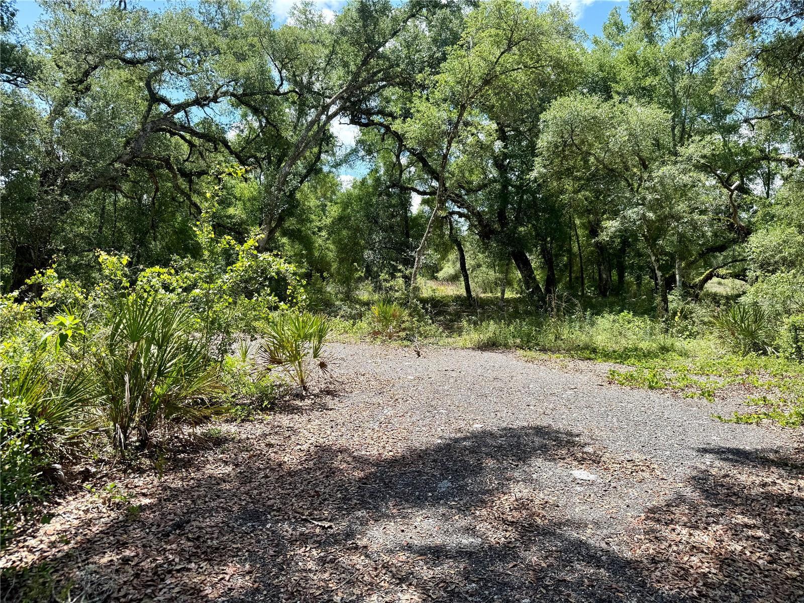 Image 1 Image 1
