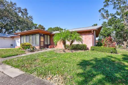 2320 SHELLY DRIVE
