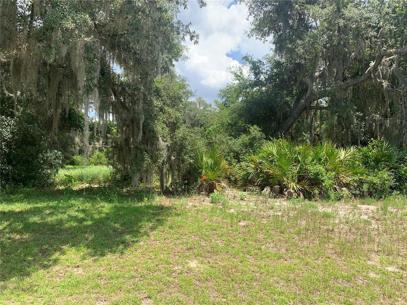 Image 1 Image 1