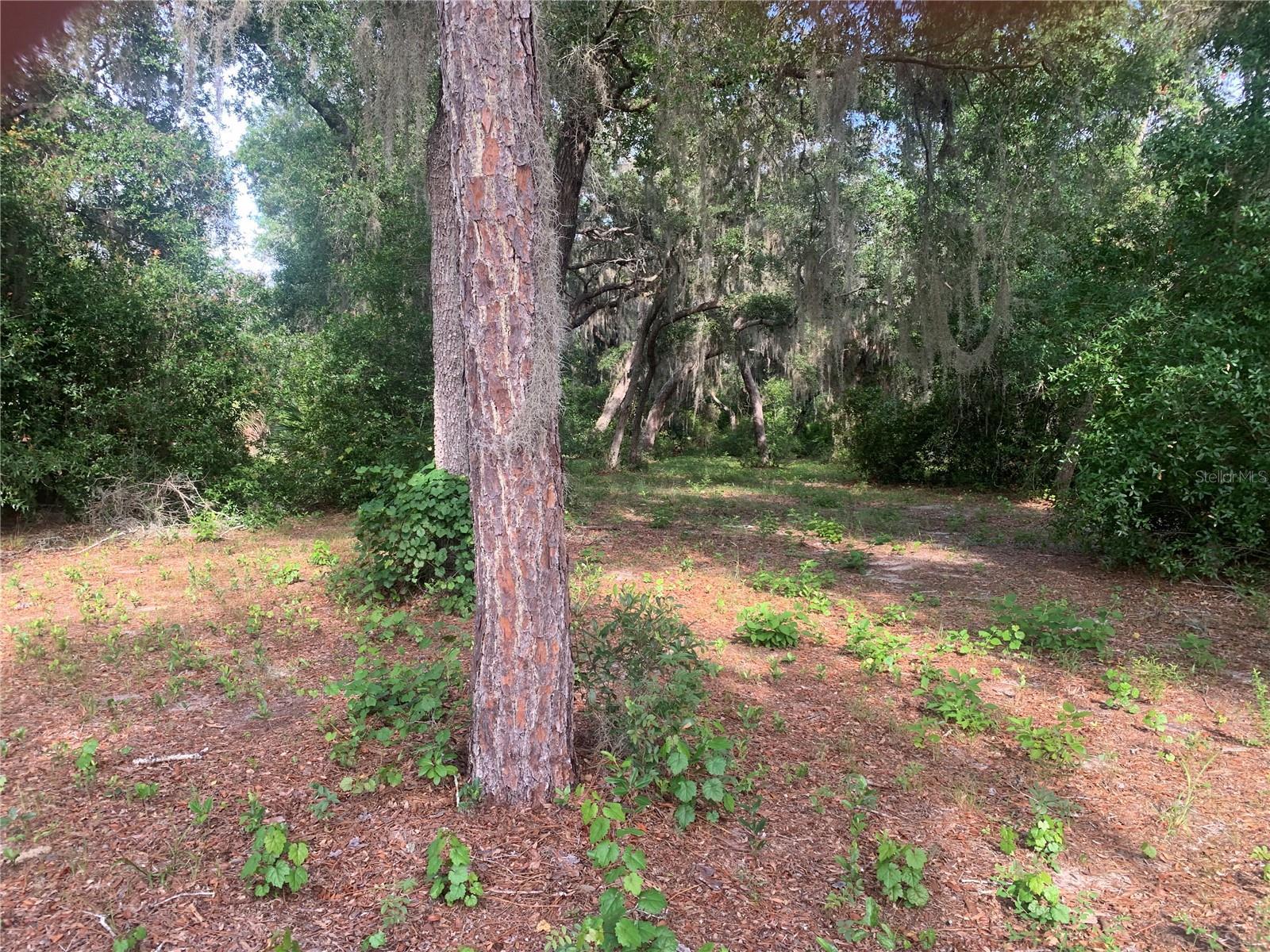 Image 4 Image 4
