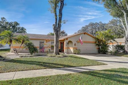 14022 CHERRY LAKE DRIVE