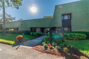 36750 US HIGHWAY 19 N