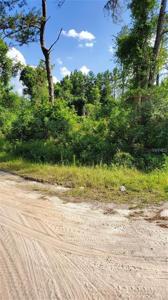 BOWFIN DRIVE