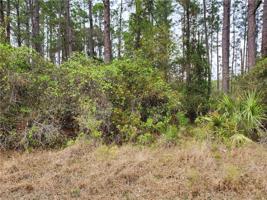 Lot 12 NUTMEG AVENUE