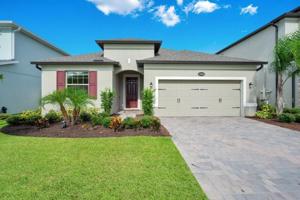 17242 HICKORY WIND DR