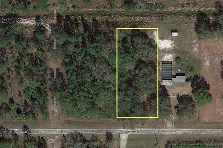 822 POINCIANA DRIVE