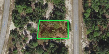 1310 HOMOSASSA COURT