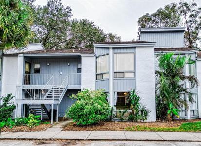 2428 LEMON TREE LANE