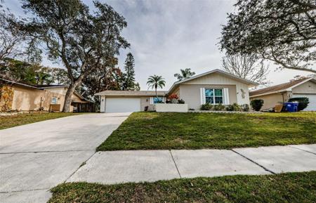 3517 DOVE HOLLOW COURT