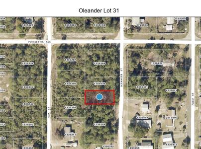 OLEANDER STREET