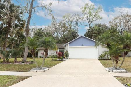 240 MOCKINGBIRD LANE