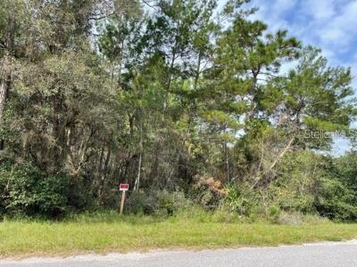 Lot 16 CHINABERRY STREET