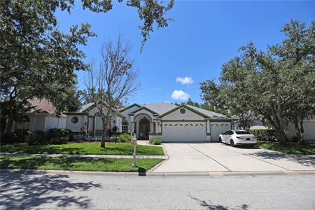 10206 SHADOW BRANCH DRIVE