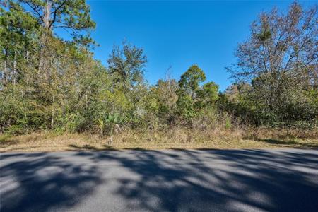 0 LANTANA DRIVE S