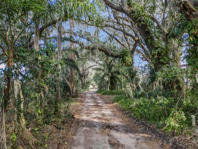 LILLIAN BLACK ROAD