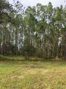 1120 POINCIANA DRIVE