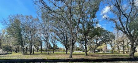 16928 PARSONAGE LAKE LANE