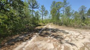 Lot 17 OMEGA RANCH