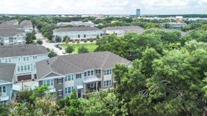 195 QUEEN PALM