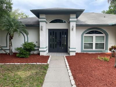 23541 FOREST VIEW DRIVE