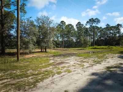 1116 POINCIANA DRIVE
