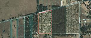 00000 SE 156TH PLACE ROAD