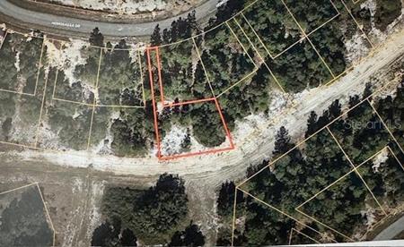 1344 HOMOSASSA DRIVE