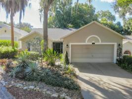 30 TOWNHILL