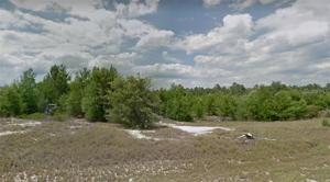 1344 HOMOSASSA