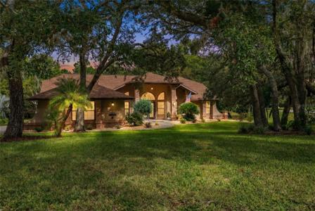 6491 LAUREL OAK DRIVE