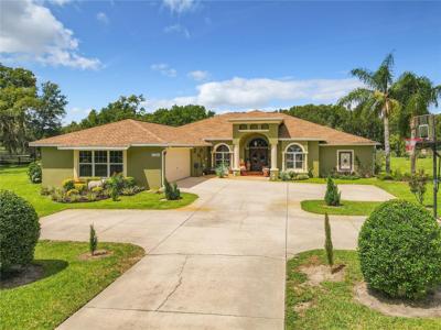 27401 HAMMOCK VIEW COURT
