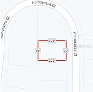 1314 HOMOSASSA COURT