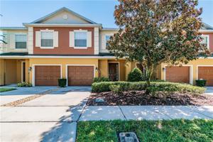 739 MAROTTA LOOP