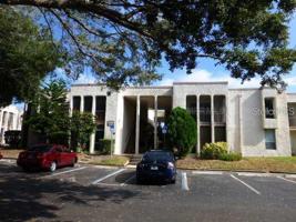 538 ORANGE DRIVE