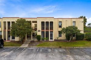 544 ORANGE DRIVE