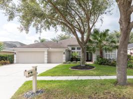 10242 SHADOW BRANCH DRIVE